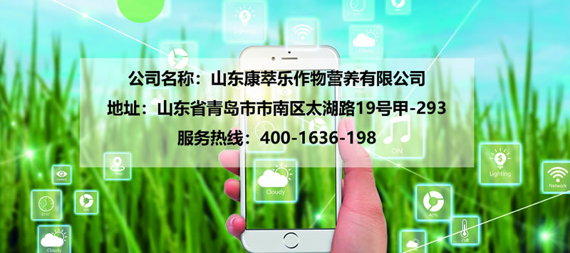 微信图片_20220430175653 - 副本.jpg